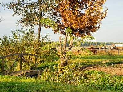 Bild 15 aus  Reiter- und Erlebnisbauernhof Groß Briesen