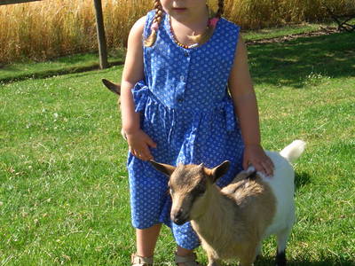 Bild 10 aus  Ferienhof Jehle