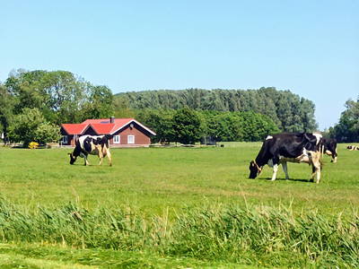 Bild 8 aus  Ferienhof Hasseler