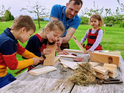 Bild 8 aus  Lohner-Hof