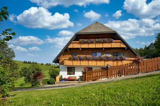 Rotenhof - ein Hof mit Weitblick aus Münstertal (Schwarzwald)