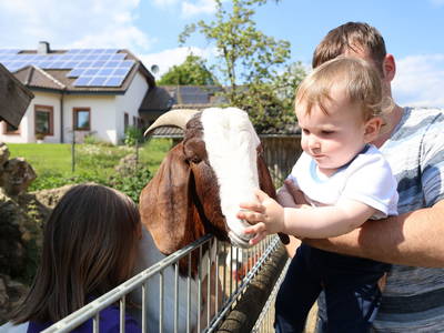 Bild 19 aus  Ferienhof Feinen