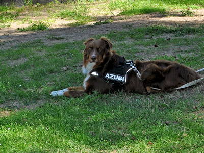 Bild 14 aus  Inselcamp Rügen