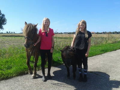 Bild 11 aus  Eschenhof