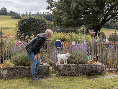 Bild 19 aus  Ferienhof Jakob, Rohrhof