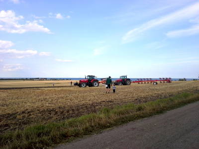 Bild 7 aus  Ferienbauernhof Mau