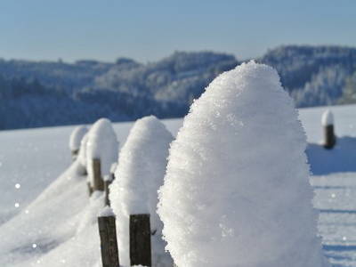 Bild 23 aus  Biohof Bilger