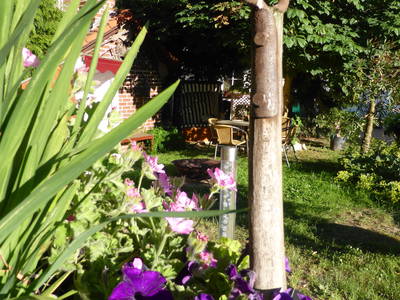 Bild 23 aus  Ferienhof Wolschendorf