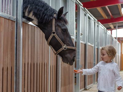 Bild 10 aus  Premium - Ferienhof Lunau