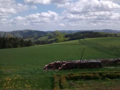 Bild 15 aus  Ferienhof Sönnecken