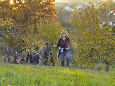 Bild 12 aus  Backhaus Grüntal