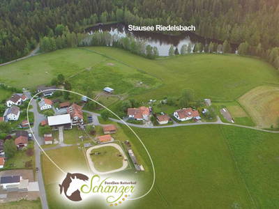 Bild 20 aus  "Forellen - Reiterhof" 5 Sterne Hof direkt am See