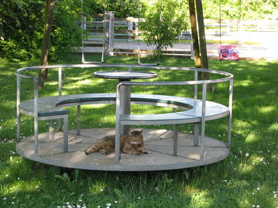 Bild 21 aus  Ferienhof Buchberger