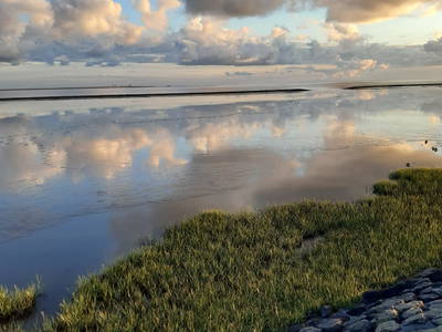 Bild 24 aus  Ferienhof Hasseler