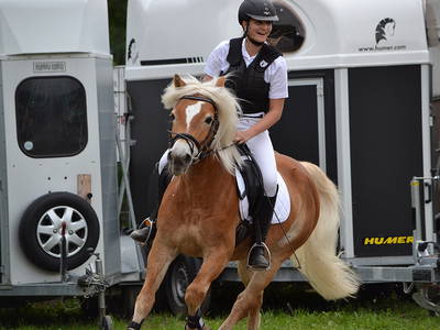 Bild 11 aus  Siglgut