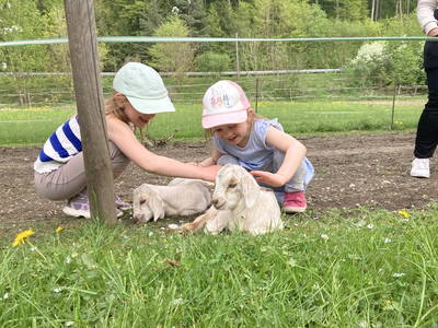 Bild 39 aus  Dachsmühle: Urlaub mit Pferd, Naturidylle, Ruhe, Auszeit