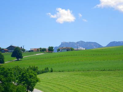 Bild 4 aus  Meisterbauer-Hof