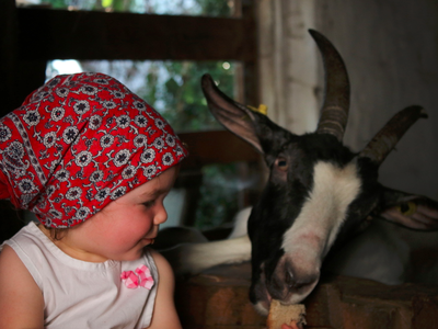 Bild 17 aus  Bauernhof Kieslinger