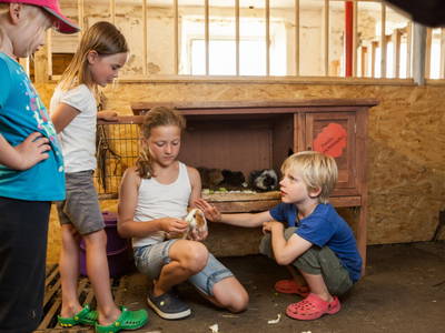 Bild 13 aus  Schädlerhof