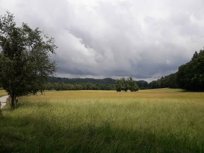 Unsere "Weiherwiese"