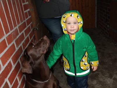 Bild 27 aus  Hof Sassen