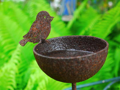 Bild 24 aus  Grashöfle