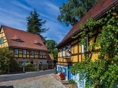 Bild 10 aus  Ferienwohnungen Katzenhaus