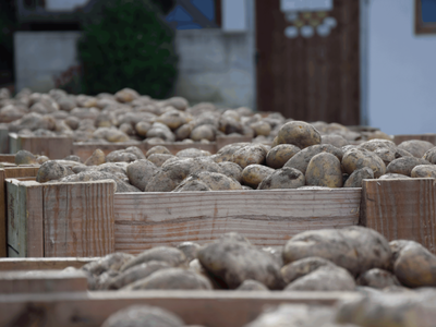 Bild 7 aus  Beikircherhof