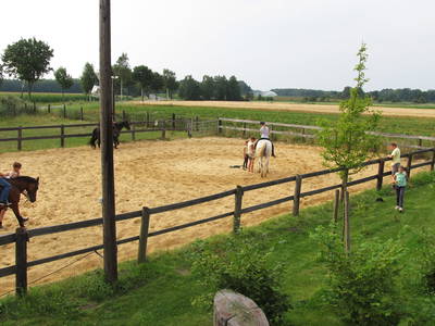 Bild 21 aus  Ferienhof Stegen