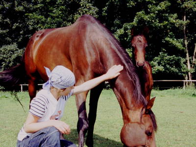Bild 5 aus  Ferien & Reiterhof Landgut Lischow