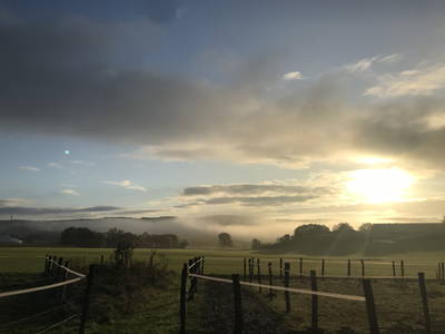 Bild 10 aus  Görgenhof - Gnadenhof für Bauernhoftiere