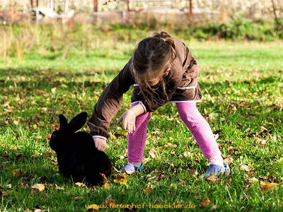 Bild 6 aus  Ferienhof Häckler