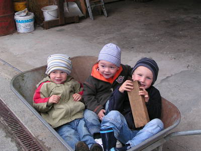 Bild 21 aus  Familien-Bauernhofurlaub im Herzen der Schweiz