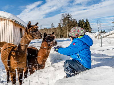 Bild 12 aus  LandSelection Hussnhof - Farm Lodge