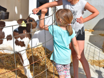 Bild 22 aus  Ramsteinerhof