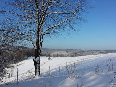 Ein schöner Wintertag