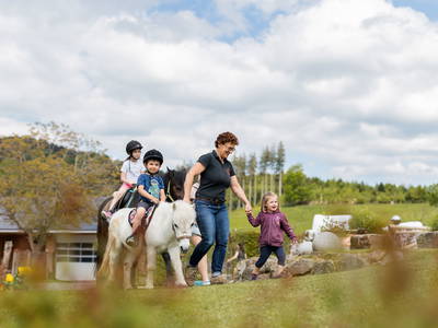 Bild 31 aus  Schädlerhof