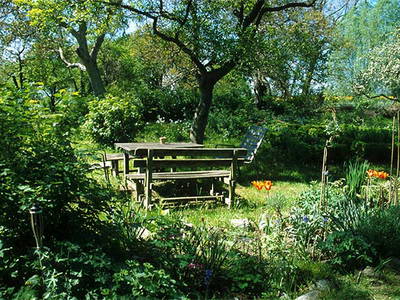 Bild 17 aus  Alte Scheune Krakvitz, Inh. Gisela Stolpe&Peter Hübner