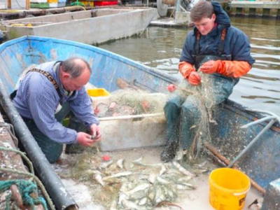 Bild 15 aus  Ferienwohnung Hecht