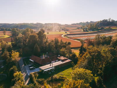 Bild 11 aus  Monschein Weingut Straden