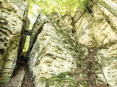 Bild 36 aus  Landgasthaus Hoffmann