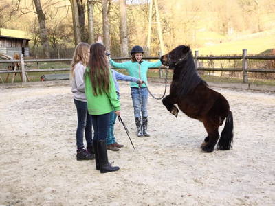 Bild 31 aus  Ferienhof Heuel