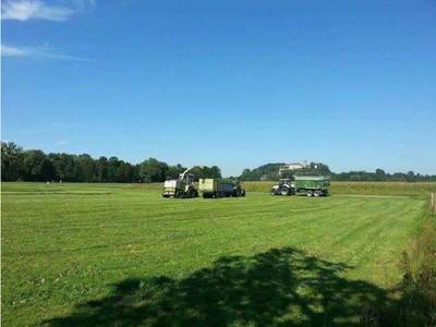 Bild 13 aus  Niederauer Hof