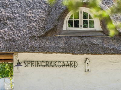 Bild 3 aus  Springbakgaard