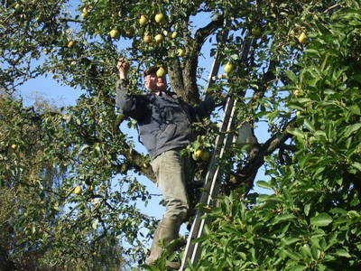 Bild 9 aus  Urlaub bei Familie Schmidt in Wippendorf