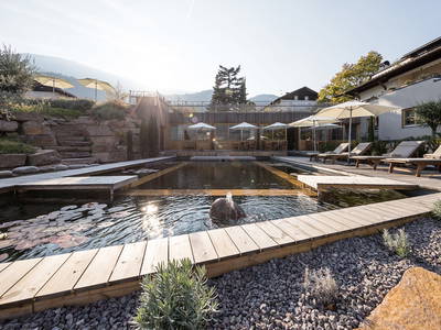 Bild 2 aus  Kräutererbe Bacherhof