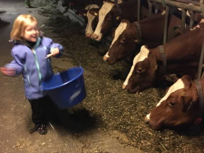 Bild 52 aus  Familien-Bauernhofurlaub im Herzen der Schweiz