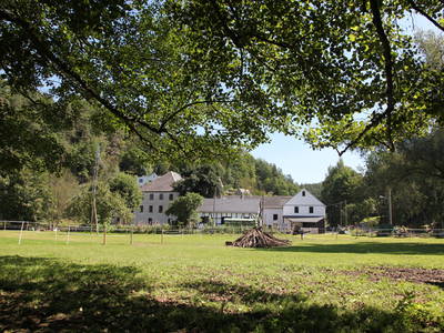 Bild 10 aus  Steinermühle