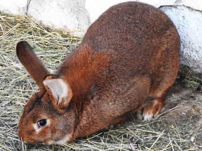 Bild 32 aus  Weidererhof