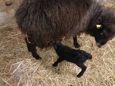 Bild 22 aus  Ferienhof Wilfert